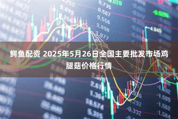 鳄鱼配资 2025年5月26日全国主要批发市场鸡腿菇价格行情