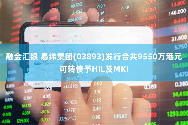 融金汇银 易纬集团(03893)发行合共9550万港元可转债予HIL及MKI