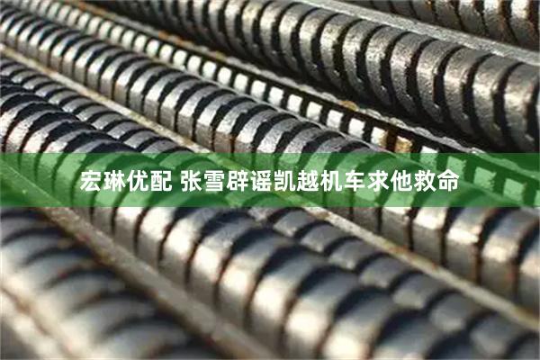 宏琳优配 张雪辟谣凯越机车求他救命